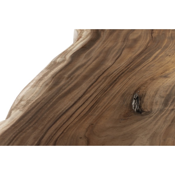 Close up van een suar houten boomstam met een knoest erin