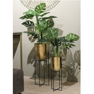 Een set plantenstandaards 2 stuks in de kleur goud en zwart in huiselijke sfeer